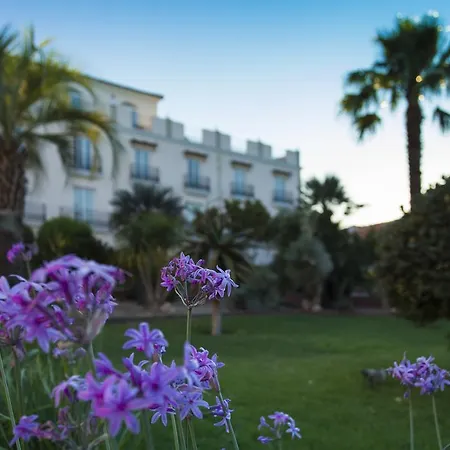 Hotel Palmera Plaza 5*